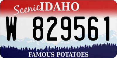 ID license plate W829561