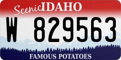 ID license plate W829563