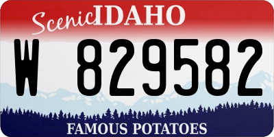 ID license plate W829582
