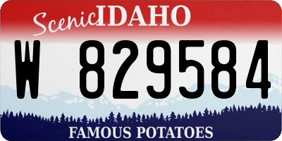 ID license plate W829584