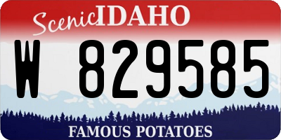 ID license plate W829585