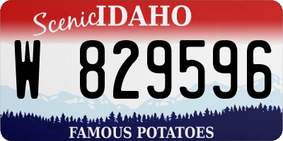 ID license plate W829596