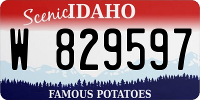 ID license plate W829597