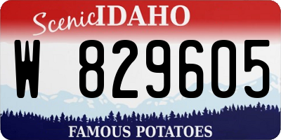 ID license plate W829605