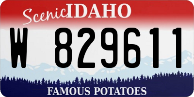 ID license plate W829611