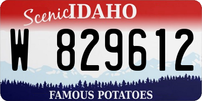 ID license plate W829612