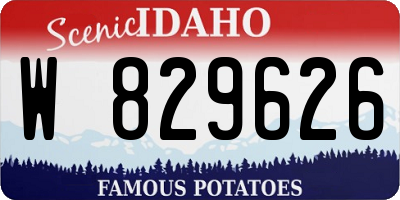ID license plate W829626
