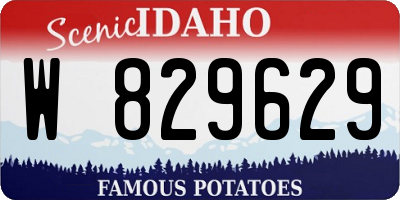 ID license plate W829629