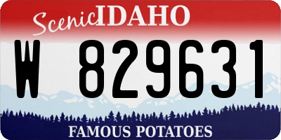 ID license plate W829631
