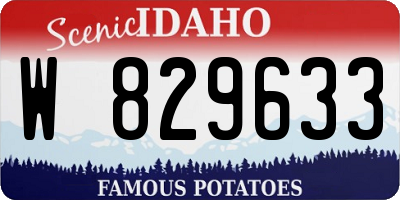 ID license plate W829633