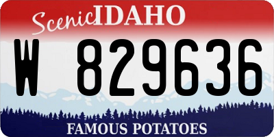 ID license plate W829636