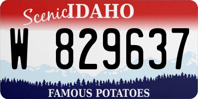 ID license plate W829637