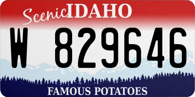 ID license plate W829646