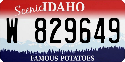 ID license plate W829649