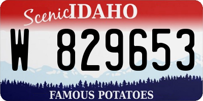 ID license plate W829653