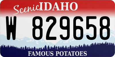 ID license plate W829658