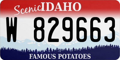 ID license plate W829663