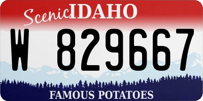 ID license plate W829667