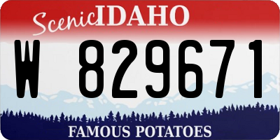 ID license plate W829671