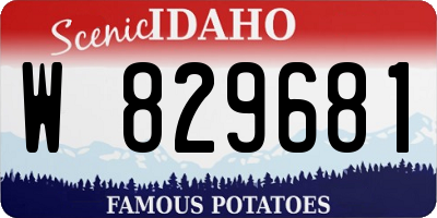 ID license plate W829681
