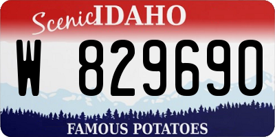 ID license plate W829690