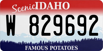 ID license plate W829692