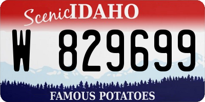ID license plate W829699