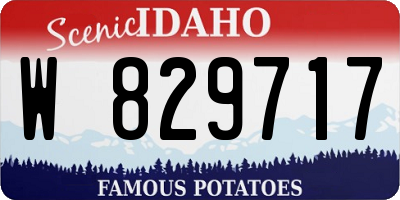 ID license plate W829717