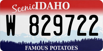 ID license plate W829722