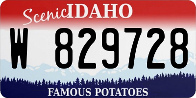 ID license plate W829728