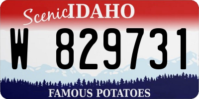 ID license plate W829731