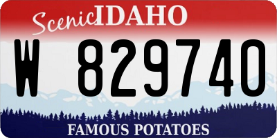 ID license plate W829740