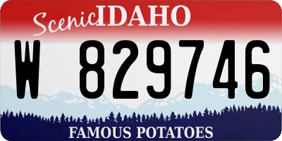 ID license plate W829746
