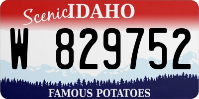ID license plate W829752