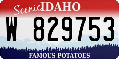 ID license plate W829753