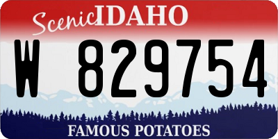 ID license plate W829754