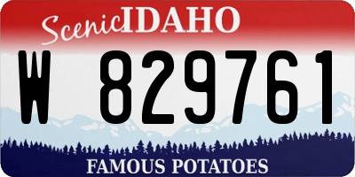 ID license plate W829761