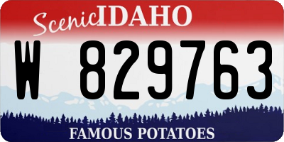 ID license plate W829763