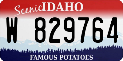 ID license plate W829764