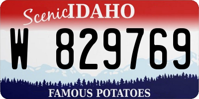ID license plate W829769