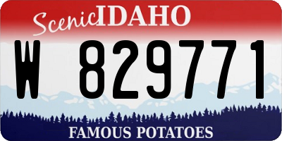 ID license plate W829771
