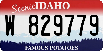ID license plate W829779