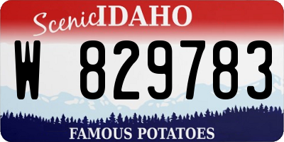 ID license plate W829783