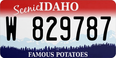 ID license plate W829787