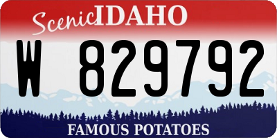 ID license plate W829792