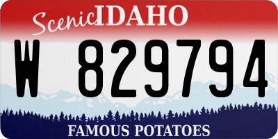 ID license plate W829794