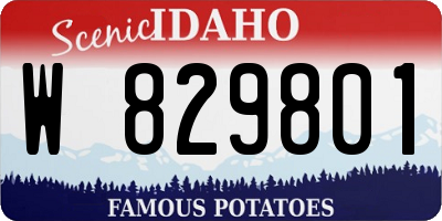 ID license plate W829801