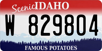 ID license plate W829804