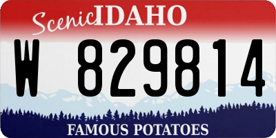 ID license plate W829814