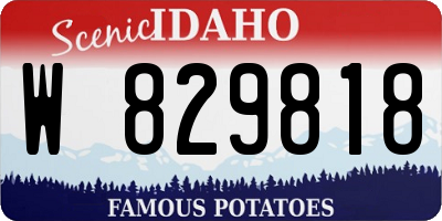 ID license plate W829818